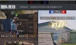 和平精英爆料辟谣视频,揭秘爆料真相，官方辟谣视频深度解析